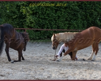 2-13JUIN 0281